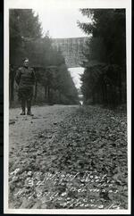 A camouflaged road under observation of the Germans. Argonne. 