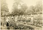 School Gardens at Colt Park - Teacher in Straw Hat, June 1918