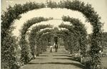 Woman and Man Walking Beneath the Rose Garden Arches