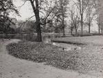 Pond ("lake-let"?), Goodwin Park, Hartford, November 6, 1968