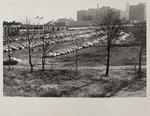 Parked cars, Hartford, December 7, 1967