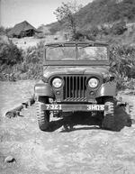 New Jeeps - replacing old World War II Jeeps,26,"Korea, area of 38th parallel",,1954,Peter Anthony,"New Jeeps - replacing old World War II Jeeps;Korea, area of 38th parallel;; 05/1905; Photograph by Peter Anthony"