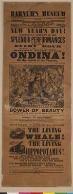 Broadside: "Barnum's Museum on New Year's Day, 1862"