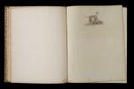 Illustrated blank journal owned by P. T. Barnum (sample page)
