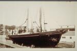 Schooner rigged fishing boat Addie Mae at Post boatyard, Pistol Point (Mystic)